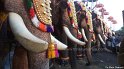 thrissur-pooram-2013-1 (42)